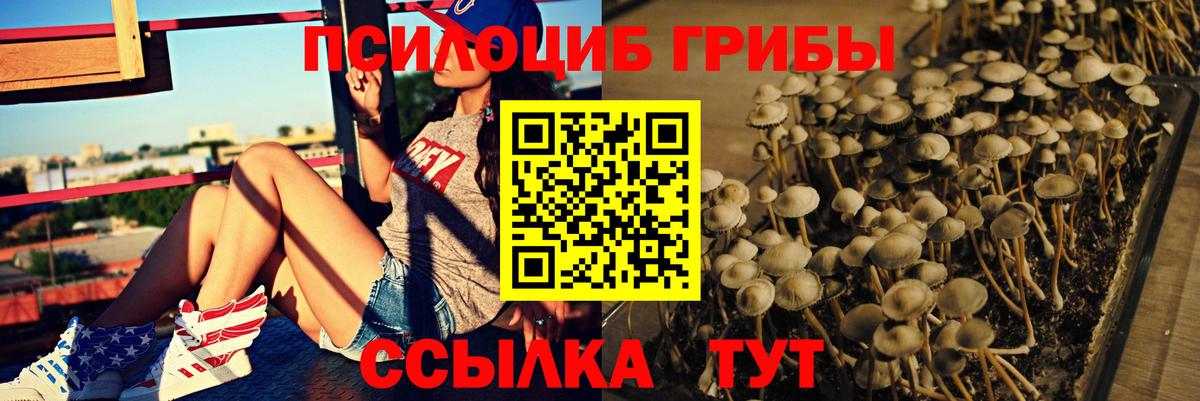 Галлюциногенные грибы MAGIC MUSHROOMS  Вход с VPN  Фролово  Галлюциногенные грибы Magic Shrooms 